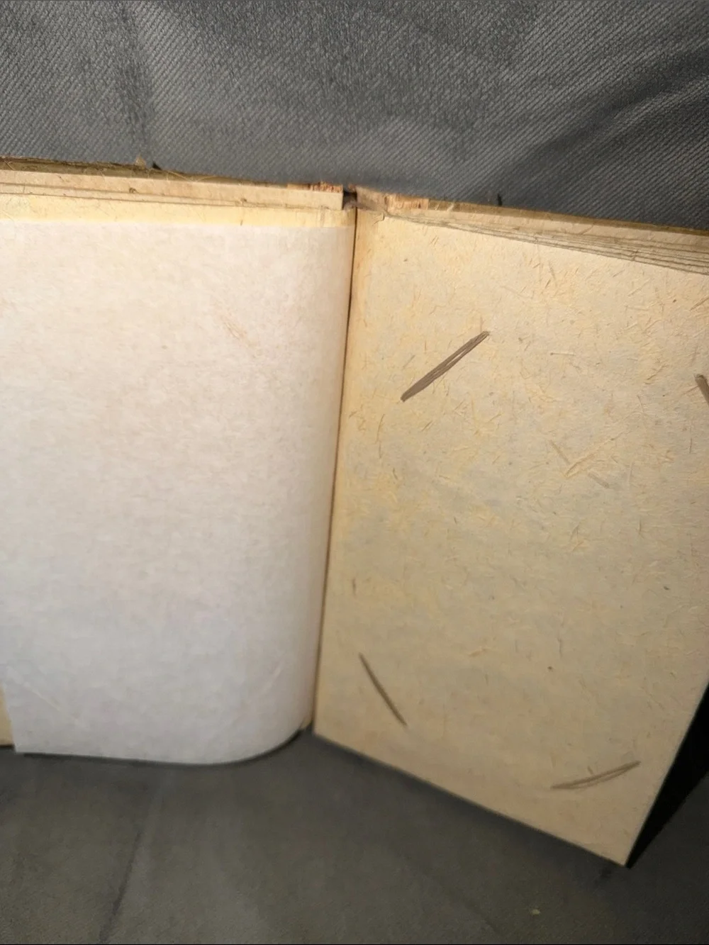 Blank Handmade Green Leaf Wall Journal Cover with Natural Accents - Bahamas